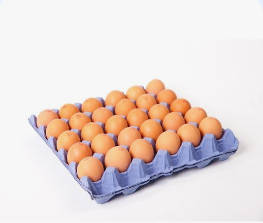 Telur Ayam